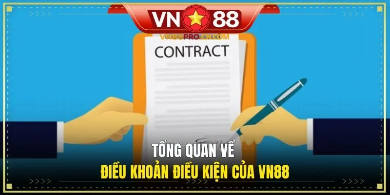 Tổng quan về điều khoản điều kiện của VN88